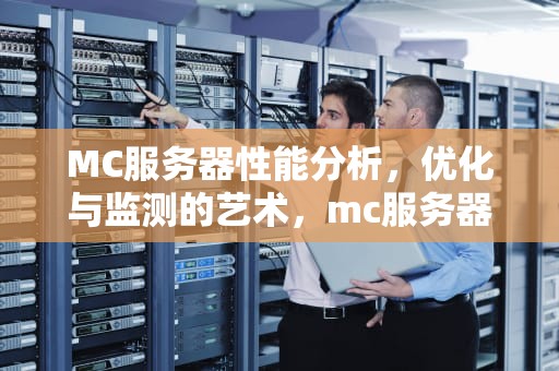 MC服务器性能分析，优化与监测的艺术，mc服务器性能要求