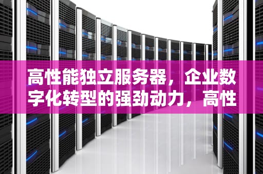 高性能独立服务器，企业数字化转型的强劲动力，高性能独立服务器有哪些