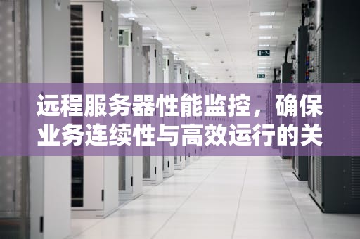 远程服务器性能监控，确保业务连续性与高效运行的关键技术，远程服务器性能监控软件