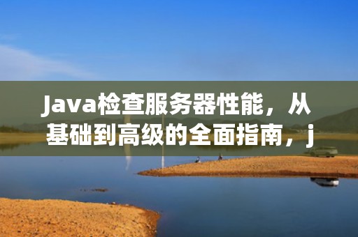 Java检查服务器性能，从基础到高级的全面指南，java检查服务器性能的方法