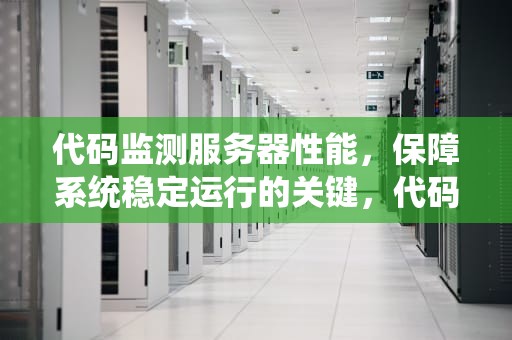 代码监测服务器性能，保障系统稳定运行的关键，代码监测服务器性能怎么看