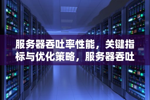 服务器吞吐率性能，关键指标与优化策略，服务器吞吐率性能指标