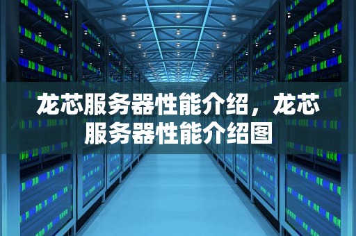 龙芯服务器性能介绍，龙芯服务器性能介绍图