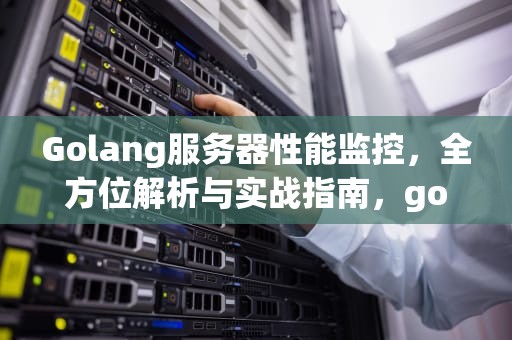 Golang服务器性能监控，全方位解析与实战指南，golang 监控linux服务器