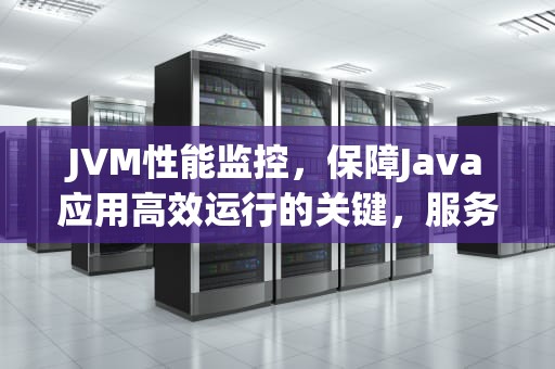 JVM性能监控，保障Java应用高效运行的关键，服务器jvm性能监控软件