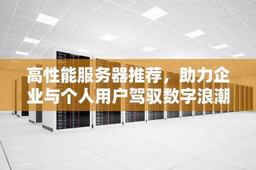 高性能服务器推荐，助力企业与个人用户驾驭数字浪潮，高性能服务器推荐