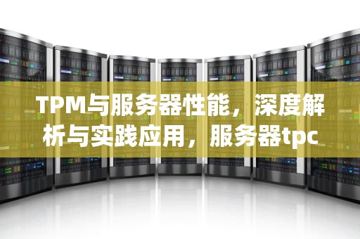 TPM与服务器性能，深度解析与实践应用，服务器tpc-c值
