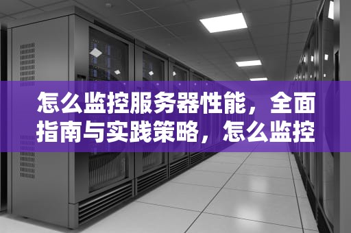 怎么监控服务器性能，全面指南与实践策略，怎么监控服务器性能参数