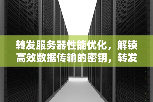 转发服务器性能优化，解锁高效数据传输的密钥，转发服务器性能优化什么意思