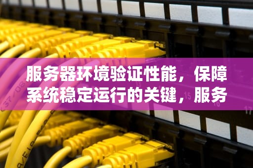 服务器环境验证性能，保障系统稳定运行的关键，服务器环境验证性能是什么
