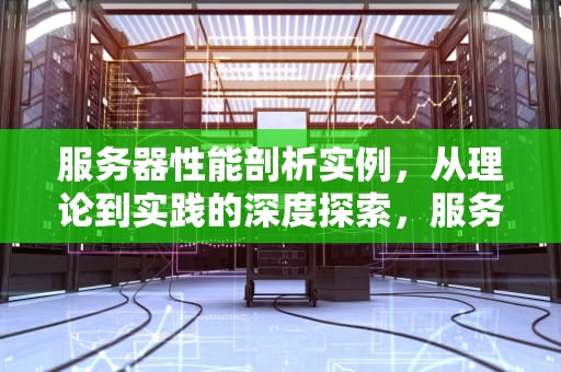服务器性能剖析实例，从理论到实践的深度探索，服务器性能剖析实例分析