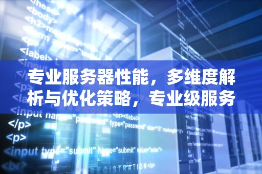专业服务器性能，多维度解析与优化策略，专业级服务器