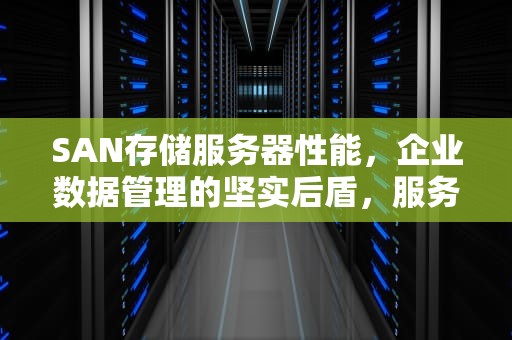 SAN存储服务器性能，企业数据管理的坚实后盾，服务器做san存储软件