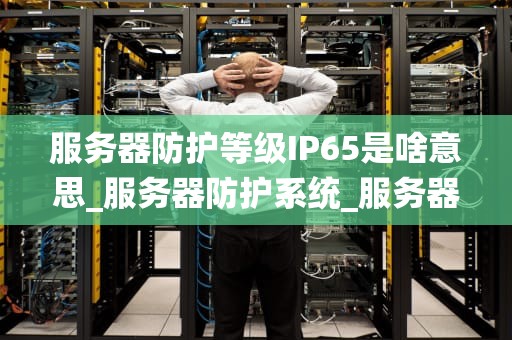 服务器防护等级IP65是啥意思_服务器防护系统_服务器防护等级IP65的深入解析