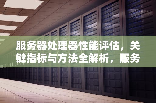 服务器处理器性能评估，关键指标与方法全解析，服务器处理器性能评估