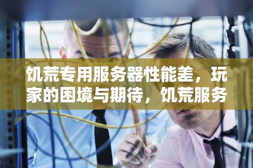 饥荒专用服务器性能差，玩家的困境与期待，饥荒服务器性能较差