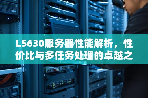 L5630服务器性能解析，性价比与多任务处理的卓越之选，l5630*2的服务器好吗