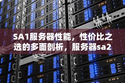 SA1服务器性能，性价比之选的多面剖析，服务器sa2