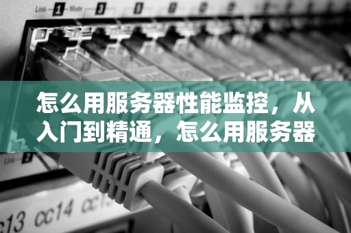 怎么用服务器性能监控，从入门到精通，怎么用服务器性能监控手机