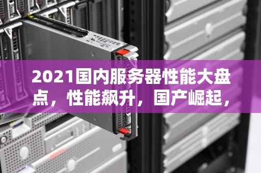 2021国内服务器性能大盘点，性能飙升，国产崛起，2021国内服务器性能排行
