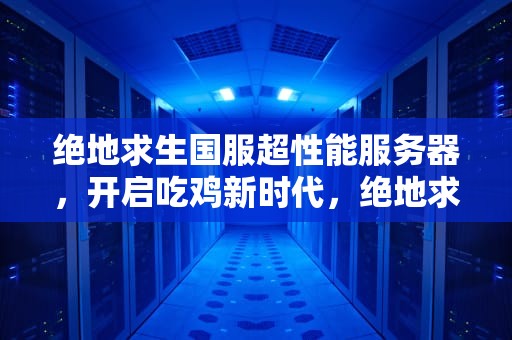 绝地求生国服超性能服务器，开启吃鸡新时代，绝地求生超性能服务器怎么开
