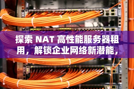 探索 NAT 高性能服务器租用，解锁企业网络新潜能，低价nat服务器