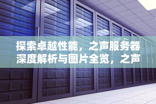 探索卓越性能，之声服务器深度解析与图片全览，之声是啥