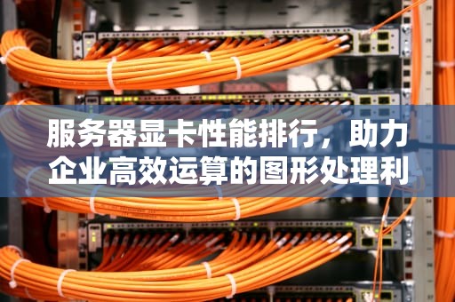 服务器显卡性能排行，助力企业高效运算的图形处理利器，服务器的显卡性能排行榜