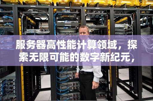服务器高性能计算领域，探索无限可能的数字新纪元，服务器高性能计算领域有哪些