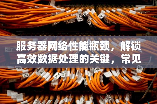 服务器网络性能瓶颈，解锁高效数据处理的关键，常见的服务器性能瓶颈