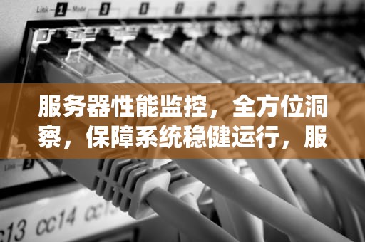 服务器性能监控，全方位洞察，保障系统稳健运行，服务器性能监控哪里有买的