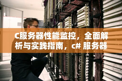 C服务器性能监控，全面解析与实践指南，c# 服务器端