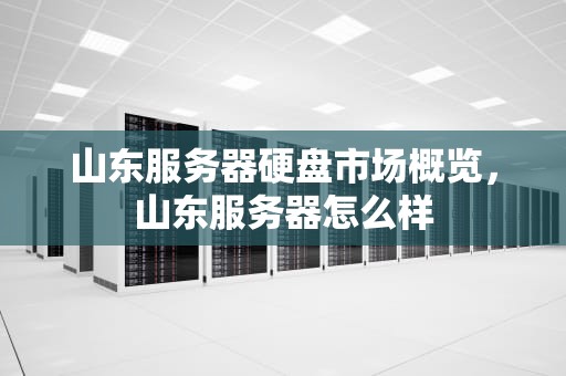 山东服务器硬盘市场概览，山东服务器怎么样