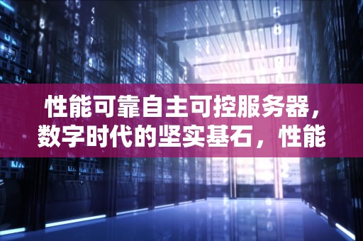 性能可靠自主可控服务器，数字时代的坚实基石，性能可靠自主可控服务器是什么