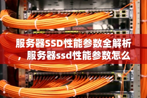 服务器SSD性能参数全解析，服务器ssd性能参数怎么看