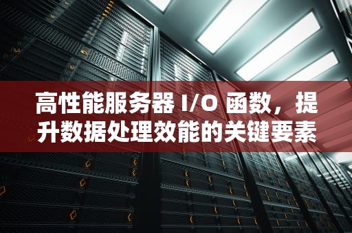 高性能服务器 I/O 函数，提升数据处理效能的关键要素，高io型服务器