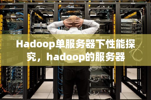 Hadoop单服务器下性能探究，hadoop的服务器