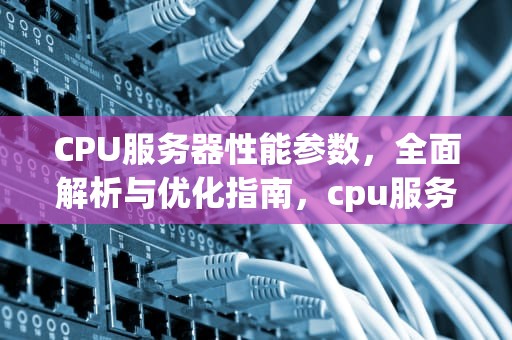 CPU服务器性能参数，全面解析与优化指南，cpu服务器性能参数表