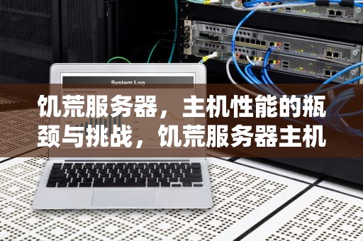 饥荒服务器，主机性能的瓶颈与挑战，饥荒服务器主机性能较差怎么办