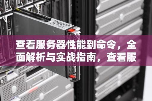 查看服务器性能到命令，全面解析与实战指南，查看服务器性能参数