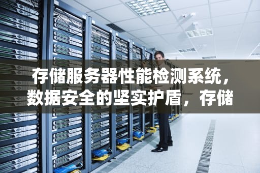 存储服务器性能检测系统，数据安全的坚实护盾，存储服务器性能检测系统有哪些