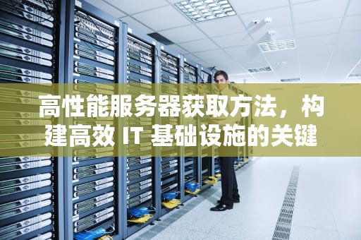 高性能服务器获取方法，构建高效 IT 基础设施的关键路径，高性能服务器获取方法有哪些