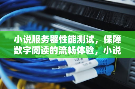 小说服务器性能测试，保障数字阅读的流畅体验，小说服务器性能测试
