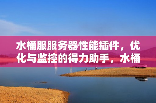 水桶服服务器性能插件，优化与监控的得力助手，水桶服怎么加mod
