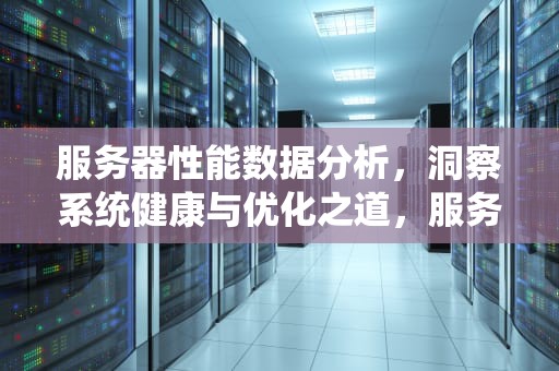 服务器性能数据分析，洞察系统健康与优化之道，服务器性能数据分析方法