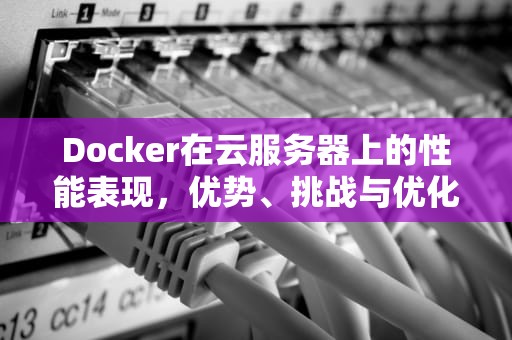 Docker在云服务器上的性能表现，优势、挑战与优化策略，在云服务器上安装docker 是否不可取