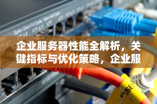 企业服务器性能全解析，关键指标与优化策略，企业服务器有哪些性能特点