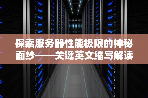探索服务器性能极限的神秘面纱——关键英文缩写解读，服务器性能极限英文缩写是什么