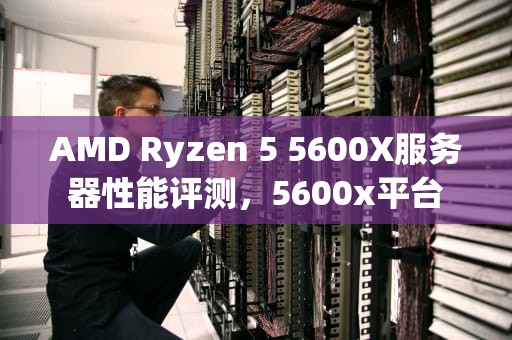 AMD Ryzen 5 5600X服务器性能评测，5600x平台