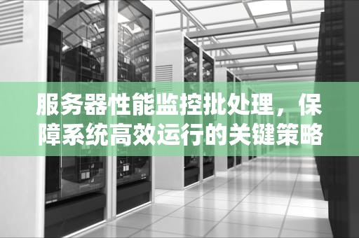 服务器性能监控批处理，保障系统高效运行的关键策略，服务器性能监控命令
